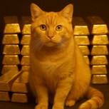 Обложка произведения Алтын