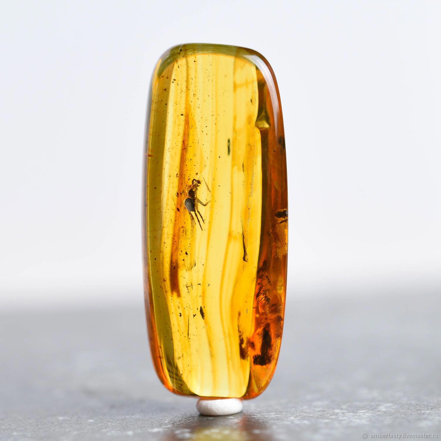 Инклюз янтаря с муравьём. Фото из интернета