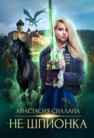 Обложка произведения Не шпионка 2