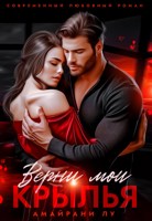 Обложка произведения Верни мои крылья