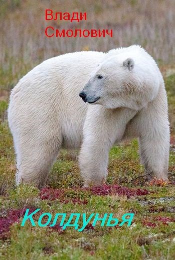 Обложка произведения Колдунья