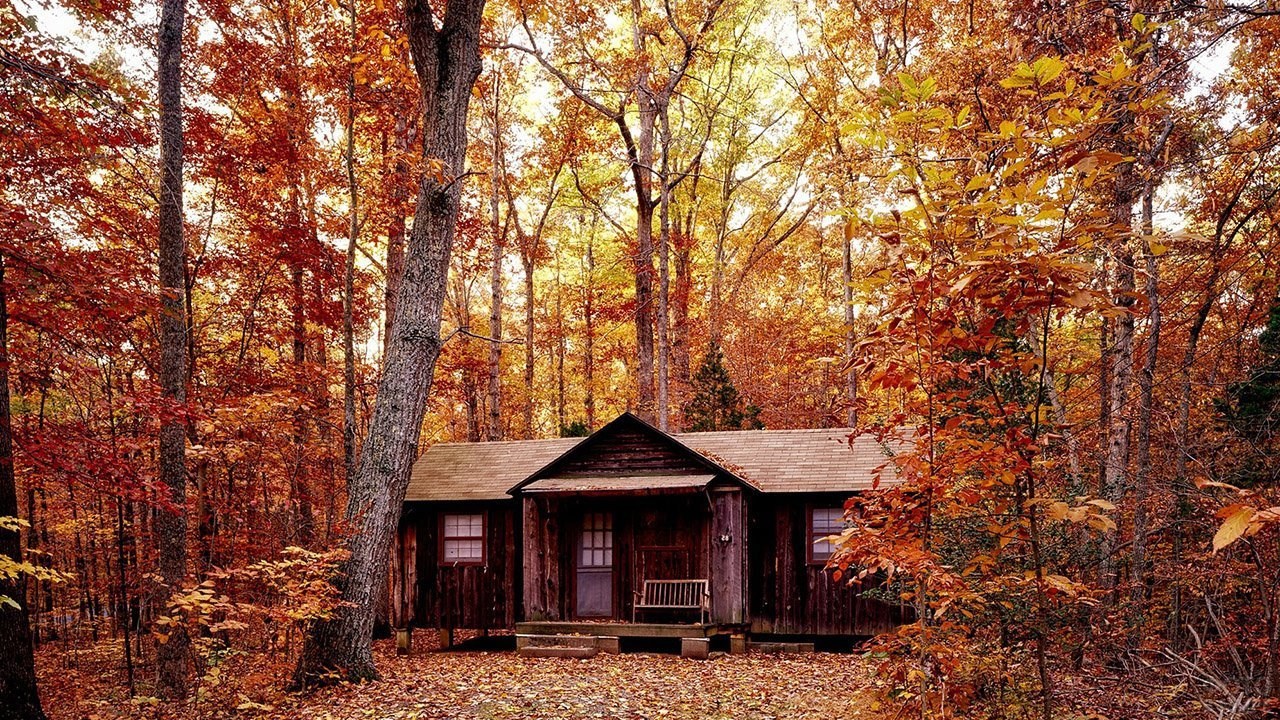 Обложка произведения Осенние ароматы