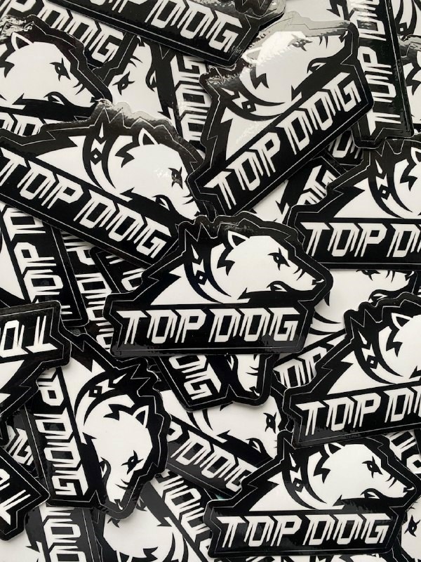 Обложка произведения TOP DOG