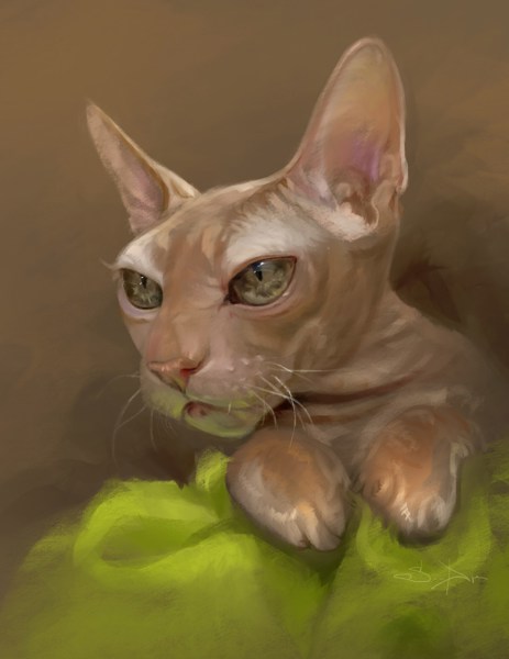 Иллюстрация