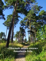 Обложка произведения Тёплый запах сосен