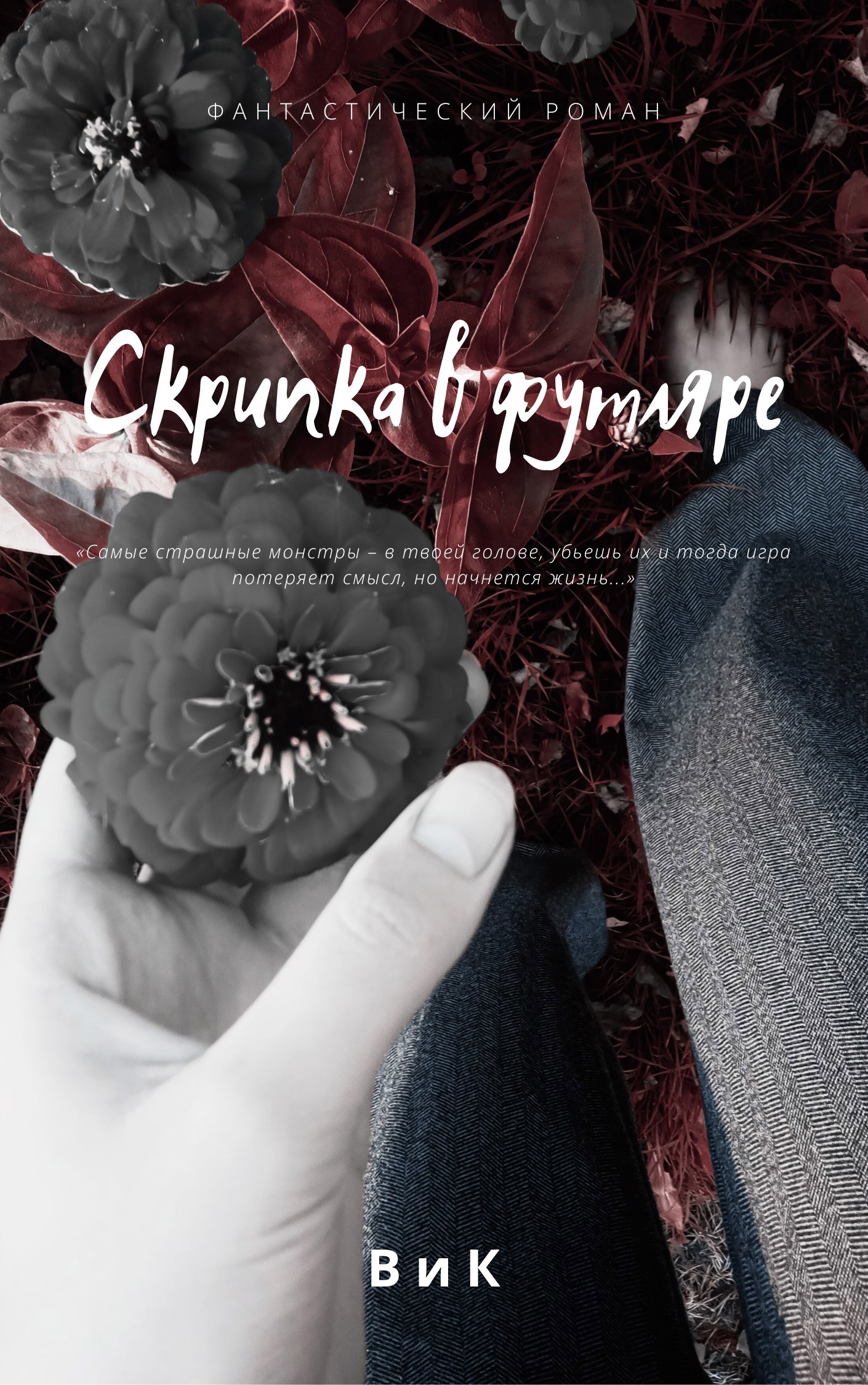 Обложка книги «Скрипка в футляре»