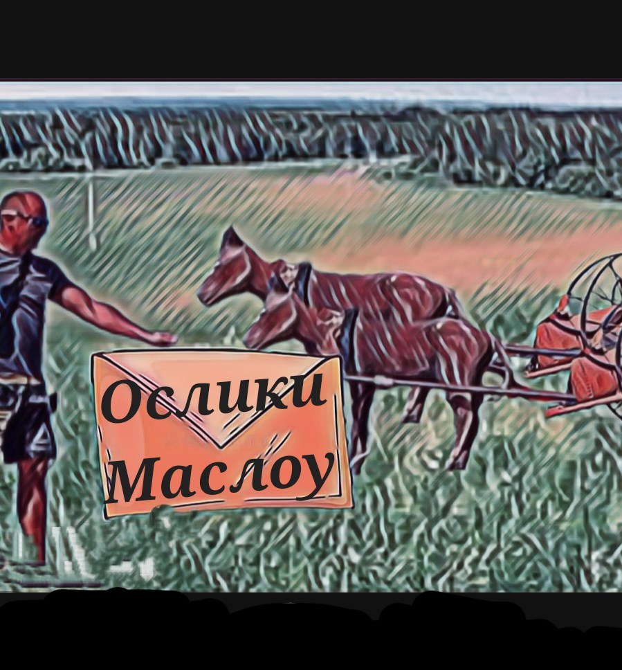 Обложка произведения Ослики Маслоу*