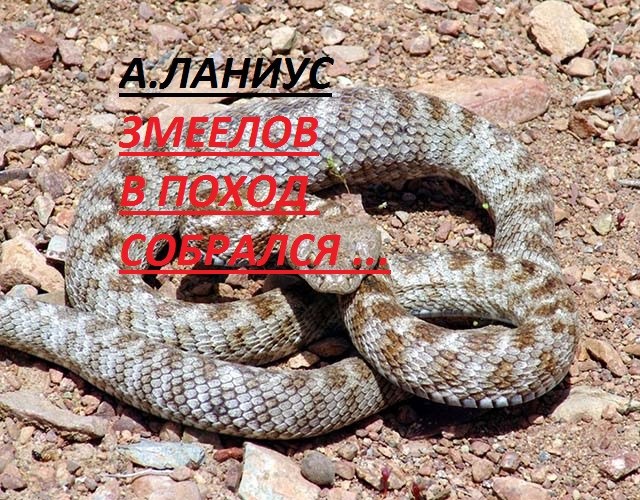 Обложка произведения Змеелов в поход собрался...