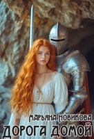 Обложка произведения Дорога домой