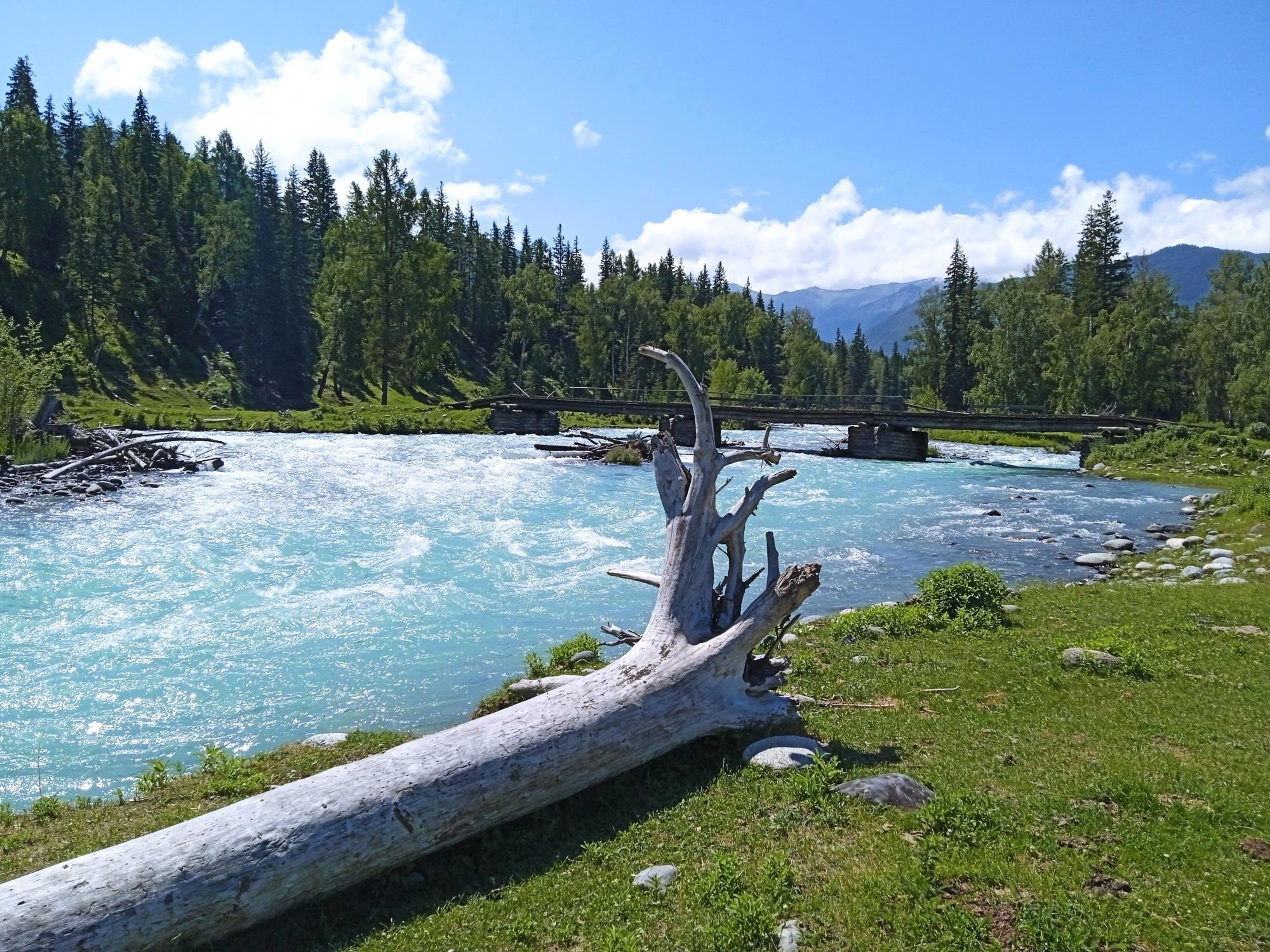 Алтайская симфония природы: река Катунь, горы и бескрайние просторы - Виктор Агеев-Полторжицкий