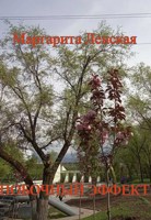 Обложка произведения Побочный эффект