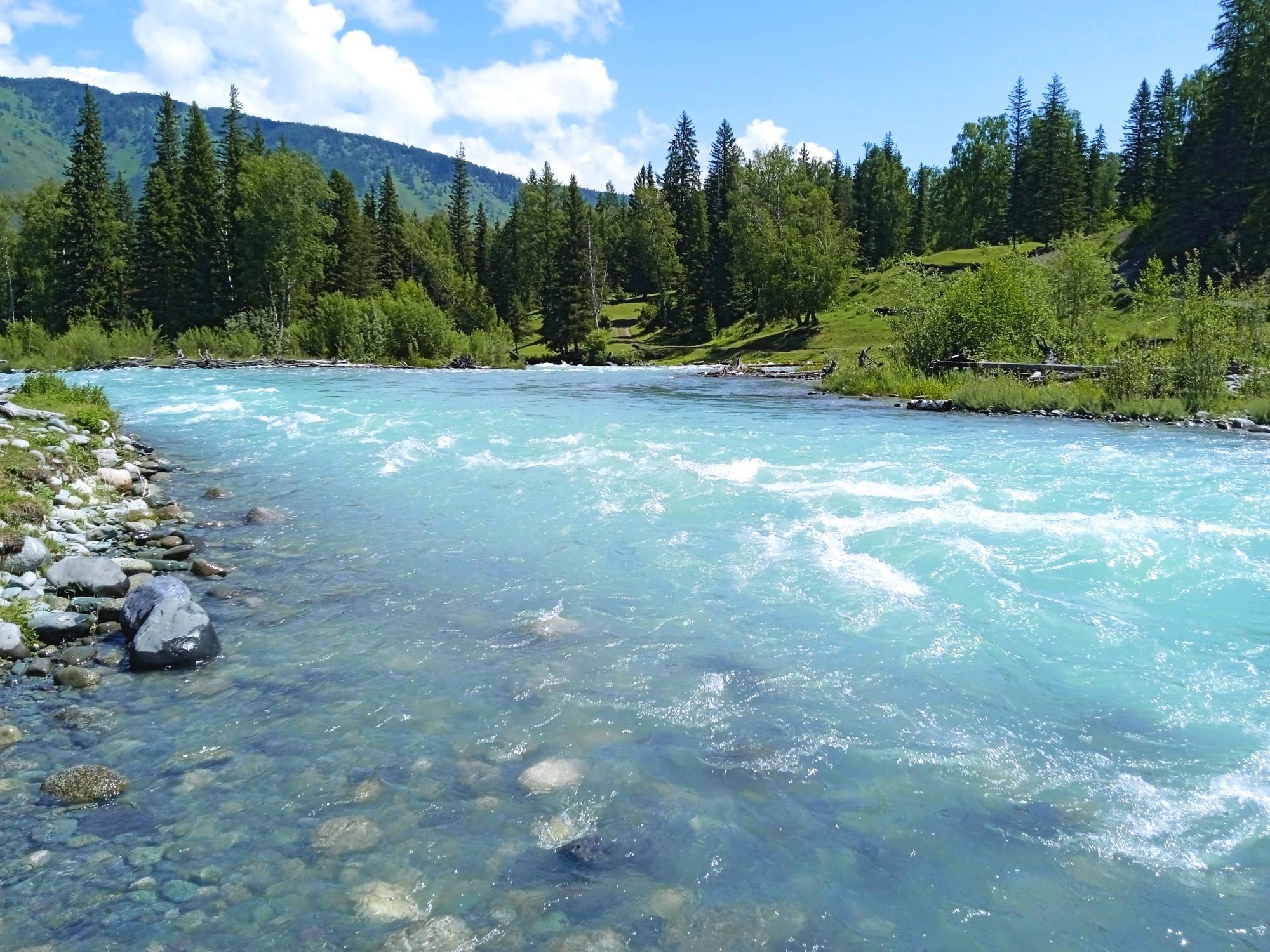 Алтайская симфония природы: река Катунь, горы и бескрайние просторы - Виктор Агеев-Полторжицкий