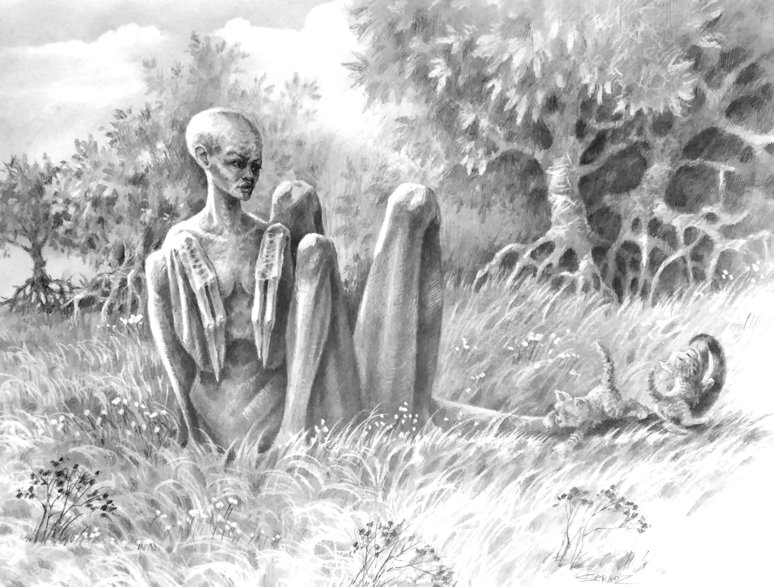 Обложка книги «Шарианские каникулы»