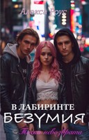 Обложка произведения В лабиринте безумия. Точка невозврата