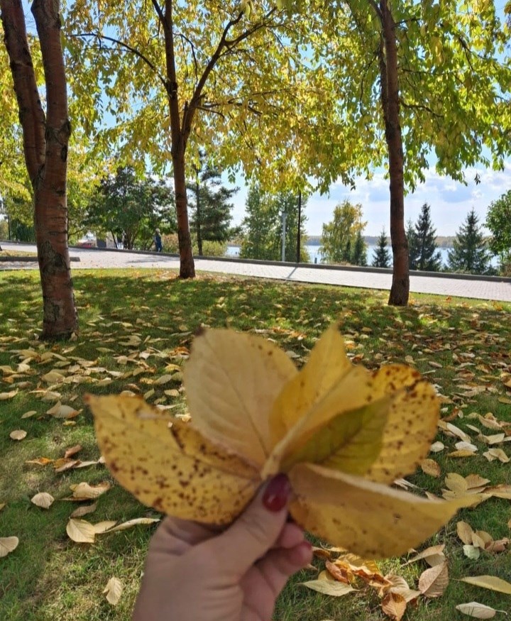 Обложка произведения Хочу быть счастливой я...