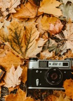 Обложка произведения Осенний фотоаппарат