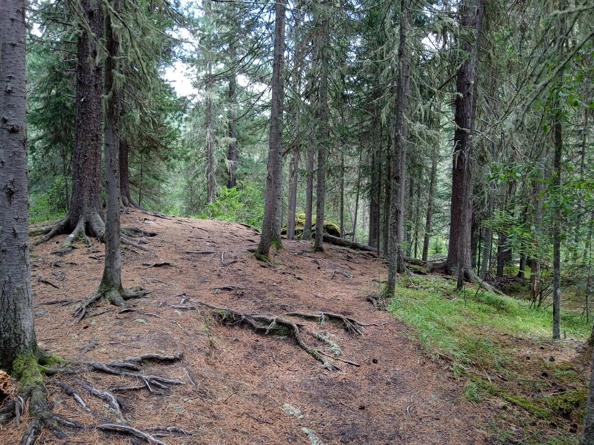 Путешествие к священной Белухе: легенды, реальность и вдохновение - Виктор Агеев-Полторжицкий