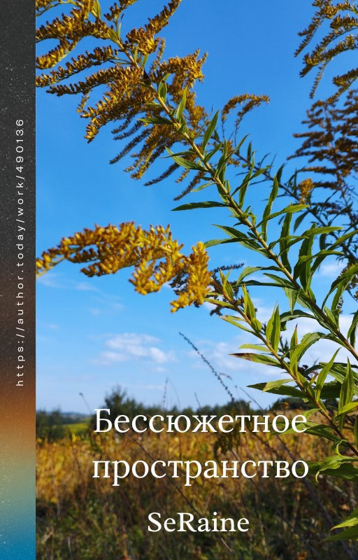 Обложка произведения Бессюжетное пространство