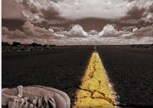 Обложка произведения Немигающий объектив