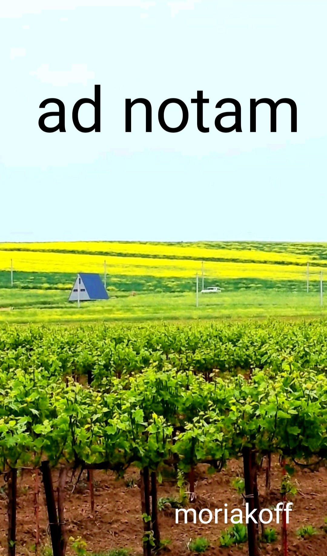 Обложка произведения ad notam.