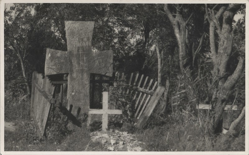 Обложка произведения Трувор