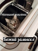 Обложка произведения Божий замысел