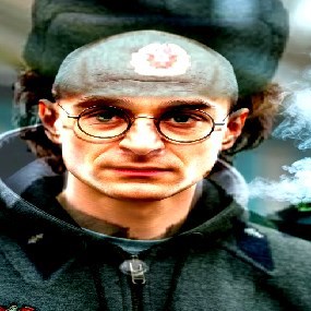 Обложка произведения Гарри Поттер и побег от проблем