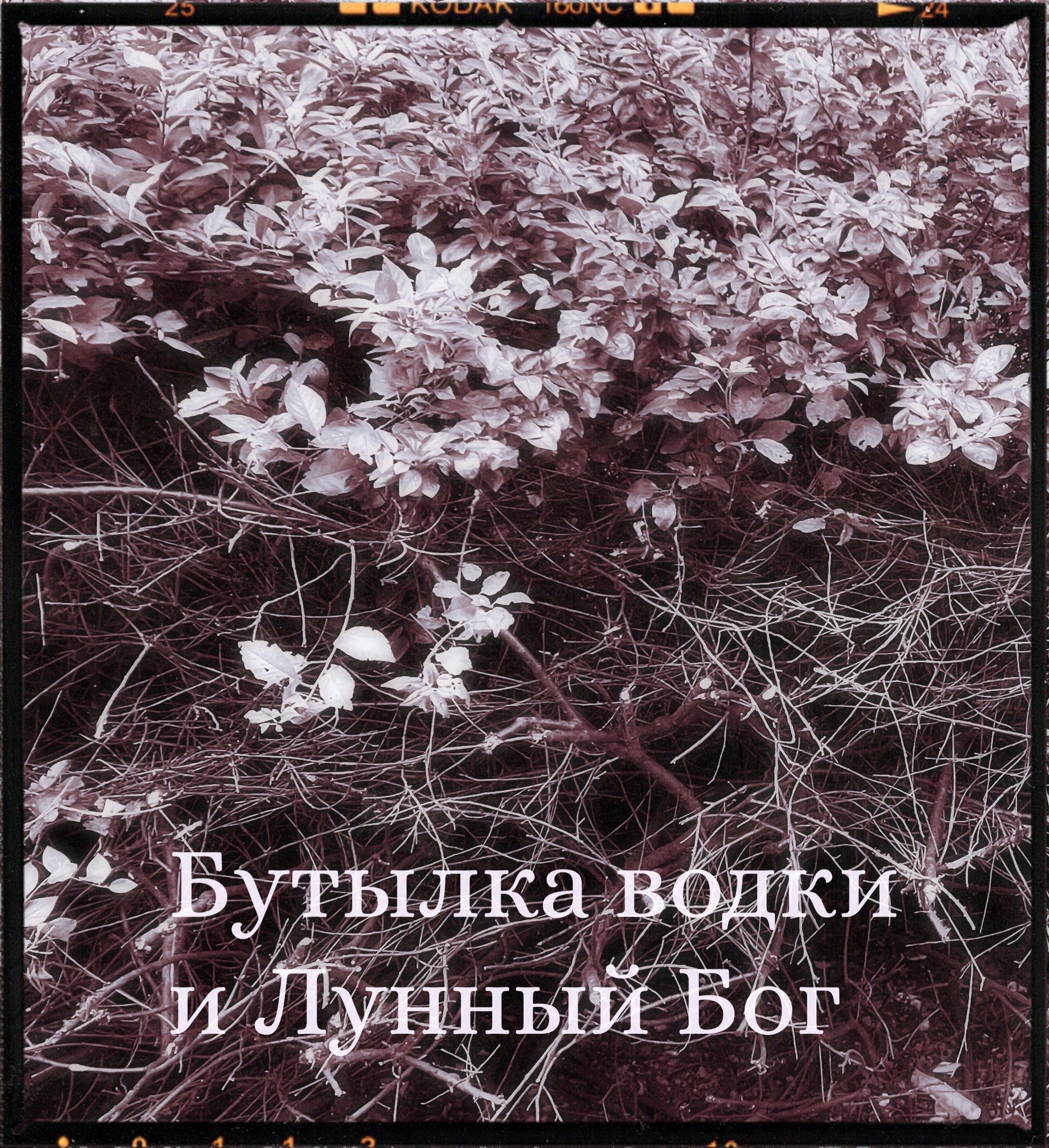 Обложка произведения Бутылка водки и Лунный Бог