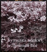 Обложка произведения Бутылка водки и Лунный Бог