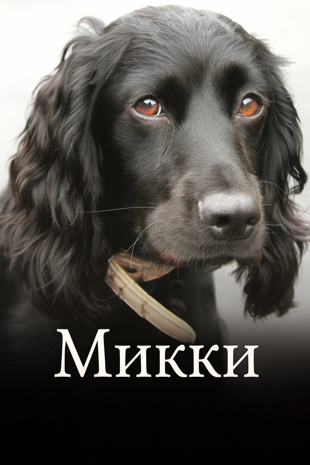 Обложка произведения Микки