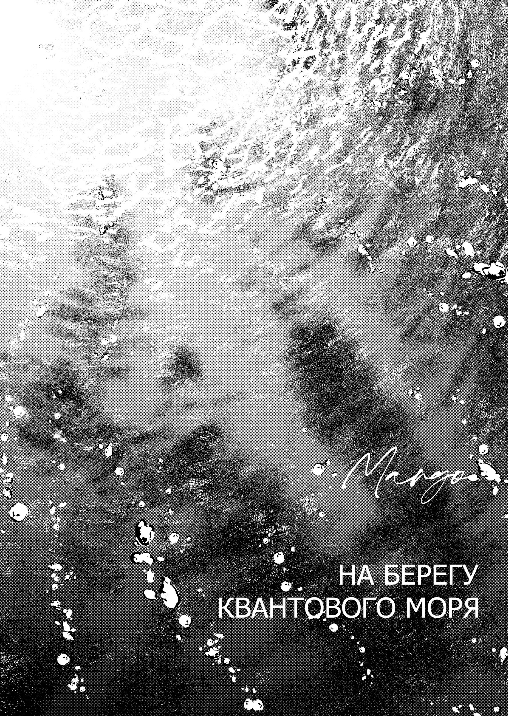 Обложка произведения На берегу квантового моря