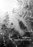 Обложка произведения На берегу квантового моря