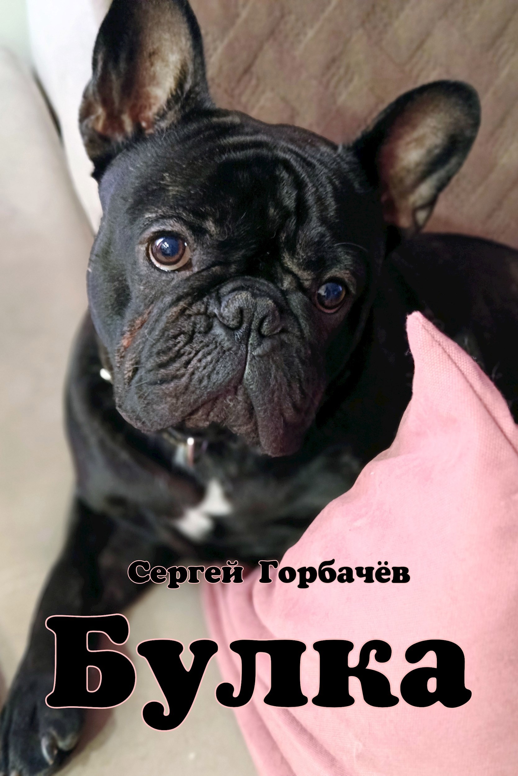 Обложка произведения Булка