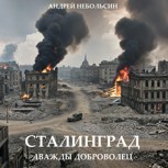 Обложка произведения Сталинград дважды доброволец.