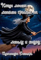 Обложка произведения Когда мачеха меняет крылья на метлу и ступу