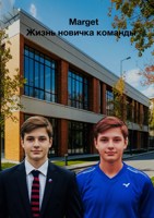 Обложка произведения Жизнь новичка команды