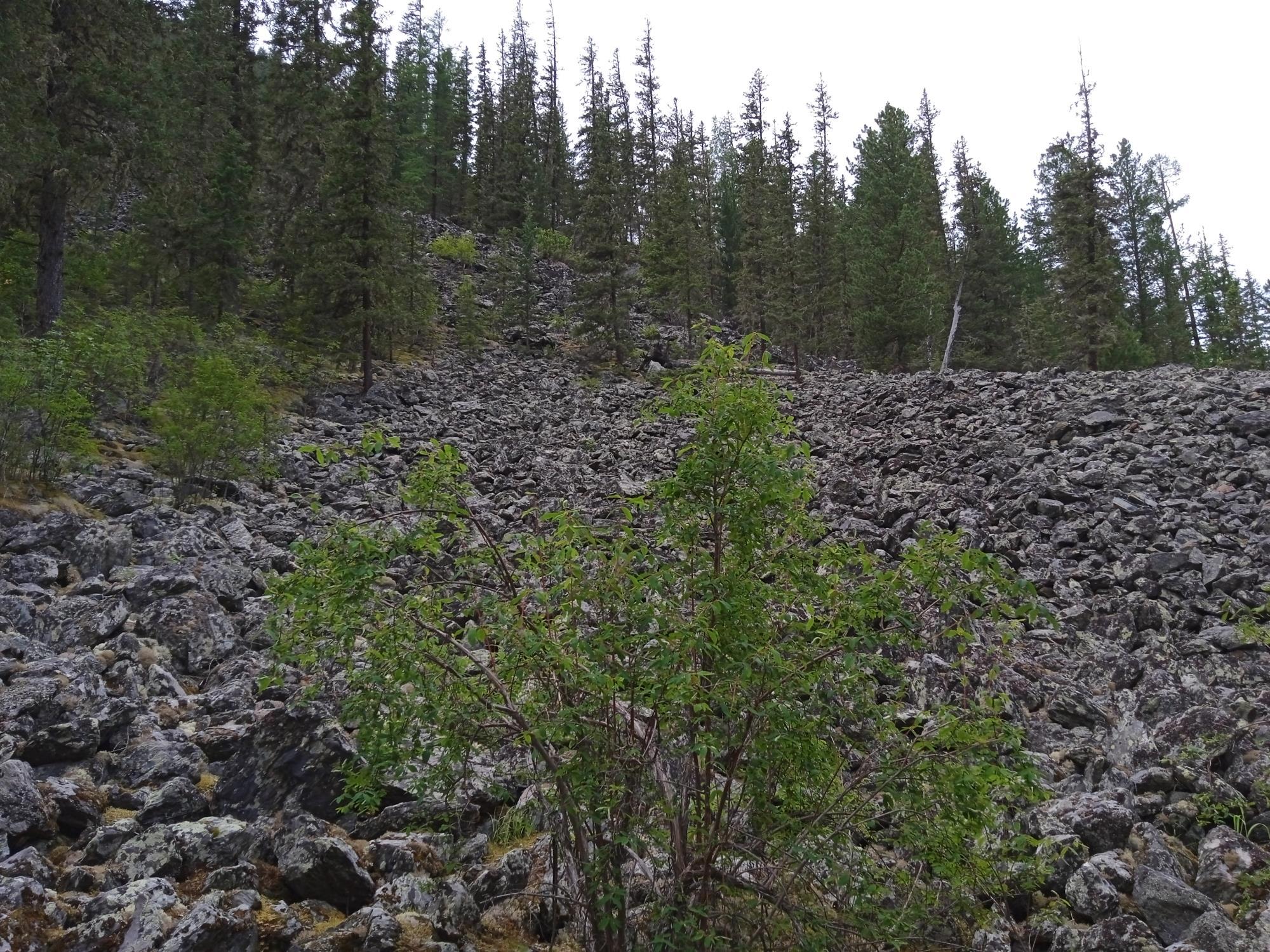 Путь к Аккемскому озеру: шаг за шагом к сердцу легенд - Виктор Агеев-Полторжицкий
