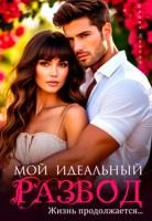 Обложка произведения Мой идеальный развод. Жизнь продолжается...