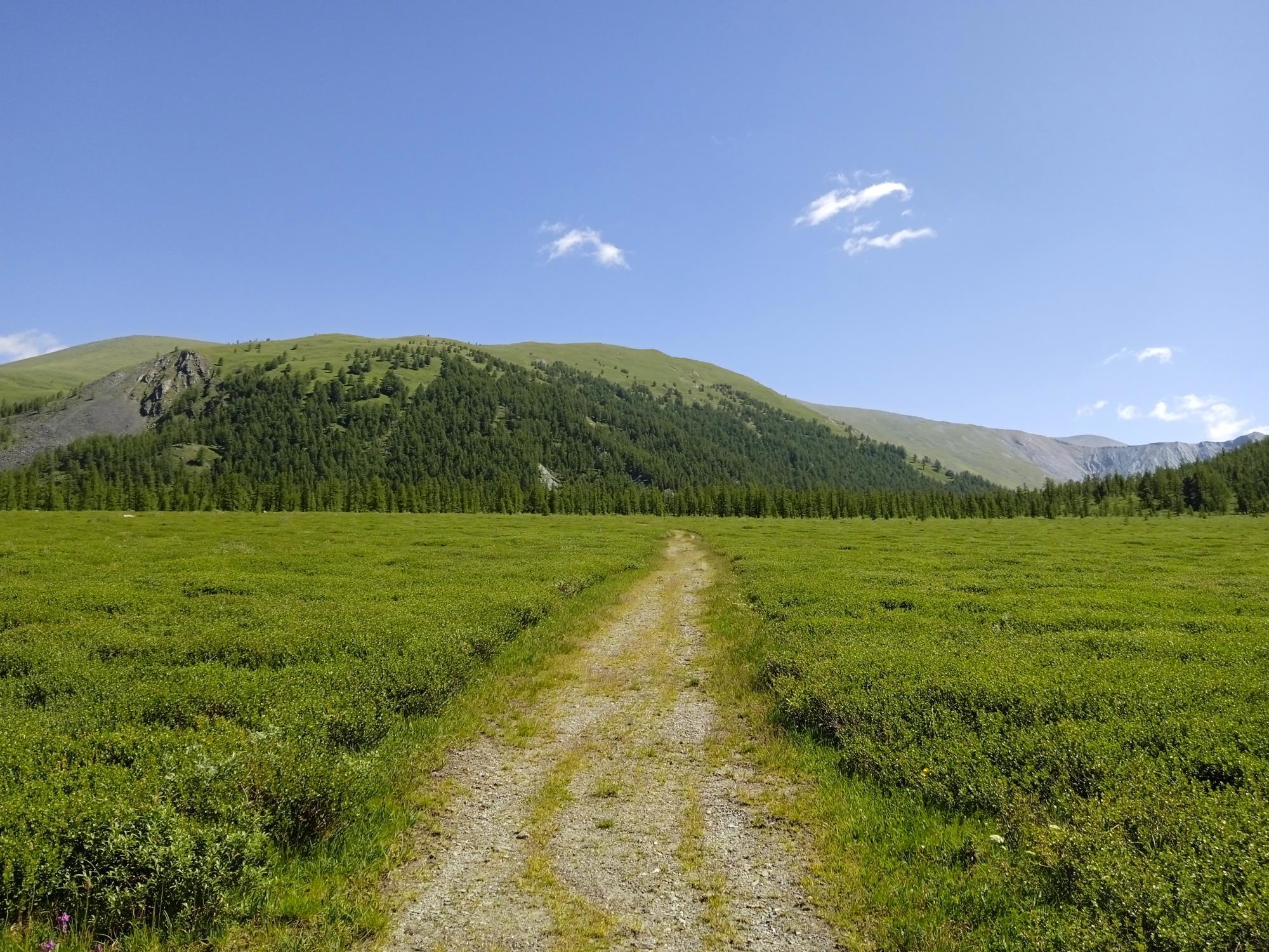 Путь к Камню Рериха и долине Ярлу — размышления о легендах и природе - Виктор Агеев-Полторжицкий