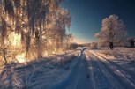 Обложка произведения За хлебом
