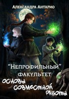 Обложка произведения "Непрофильный" факультет. Основы совместной работы