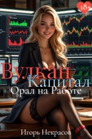 Обложка произведения Вулкан Капитал: Орал на Работе. 18+
