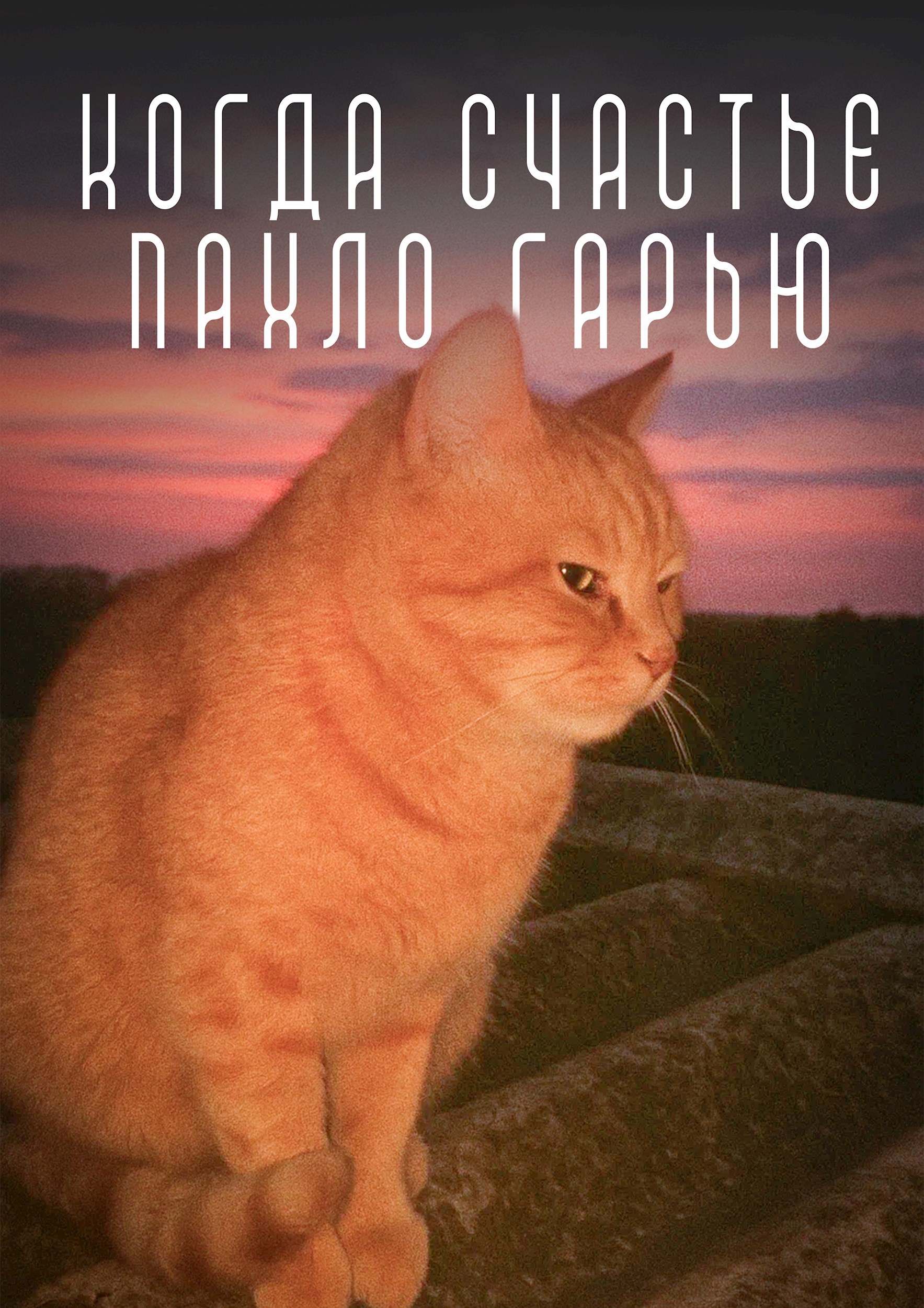 Обложка произведения Когда счастье пахло гарью