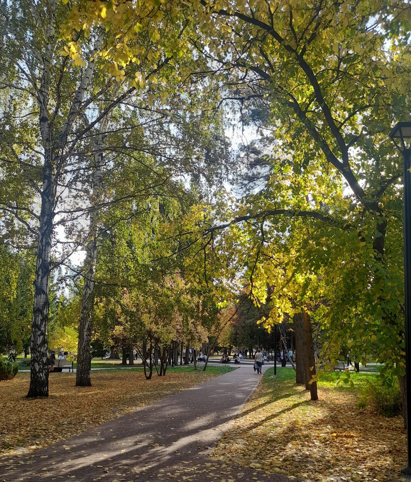 Обложка произведения Подружились осень с летом...
