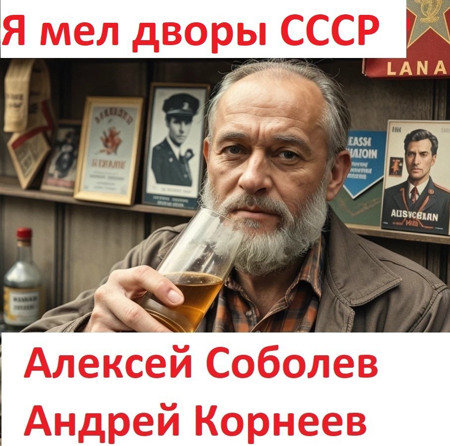 Обложка произведения Я мел дворы СССР