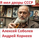 Обложка произведения Я мел дворы СССР