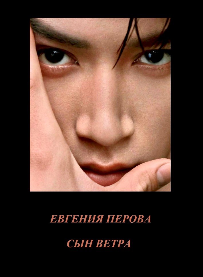 Обложка произведения Сын Ветра