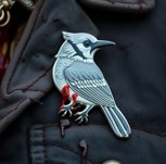 Обложка произведения Сойка