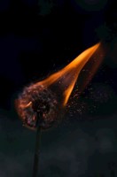 Обложка произведения Principium vitae