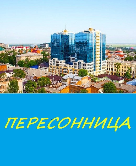Обложка произведения «Пересонница»